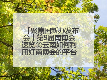 聚焦国新办发布会丨第9届南博会速览⑥云南如何利用好南博会的平台带动作用，深化与南亚国家的交流与合作？