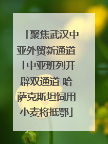 聚焦武汉中亚外贸新通道│中亚班列开辟双通道 哈萨克斯坦饲用小麦将抵鄂