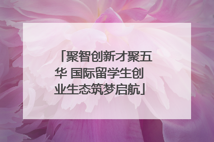 聚智创新才聚五华 国际留学生创业生态筑梦启航