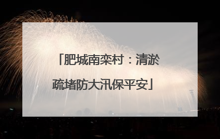 肥城南栾村：清淤疏堵防大汛保平安