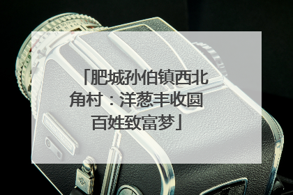 肥城孙伯镇西北角村：洋葱丰收圆百姓致富梦