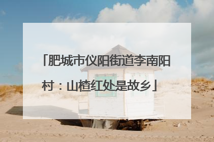 肥城市仪阳街道李南阳村：山楂红处是故乡