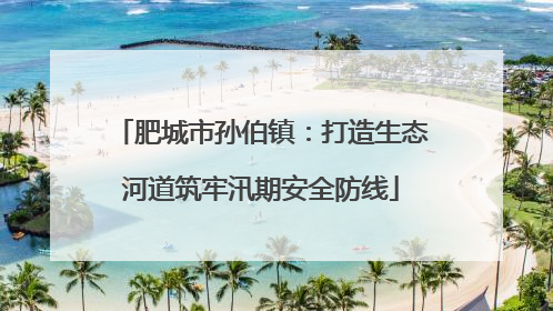 肥城市孙伯镇：打造生态河道筑牢汛期安全防线