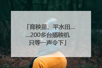 育秧苗、平水田……200多台插秧机只等一声令下