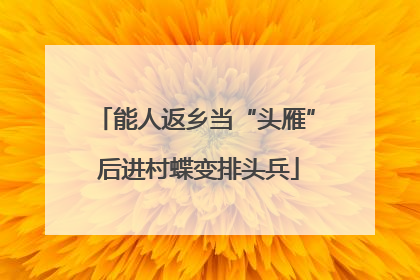能人返乡当“头雁” 后进村蝶变排头兵
