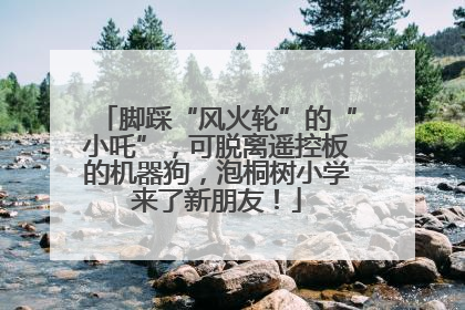 脚踩“风火轮”的“小吒”，可脱离遥控板的机器狗，泡桐树小学来了新朋友！