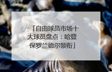自由球员市场十大球员盘点：哈登保罗兰德尔领衔