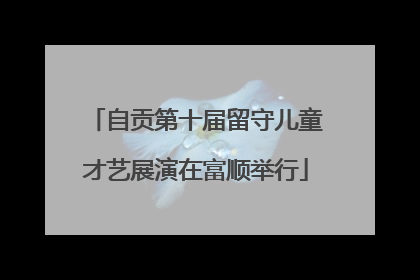自贡第十届留守儿童才艺展演在富顺举行