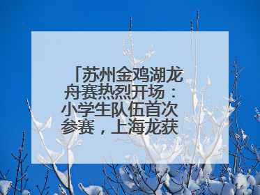 苏州金鸡湖龙舟赛热烈开场：小学生队伍首次参赛，上海龙获国际组冠亚军