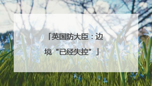 英国防大臣：边境“已经失控”
