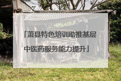 萧县特色培训助推基层中医药服务能力提升
