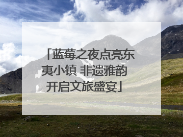 蓝莓之夜点亮东夷小镇 非遗雅韵开启文旅盛宴