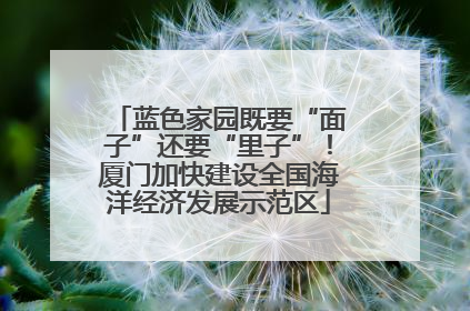 蓝色家园既要“面子”还要“里子”！厦门加快建设全国海洋经济发展示范区