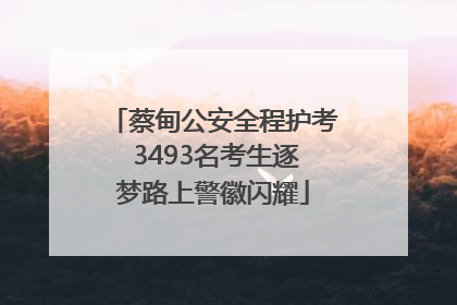 蔡甸公安全程护考 3493名考生逐梦路上警徽闪耀