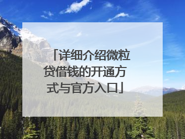 详细介绍微粒贷借钱的开通方式与官方入口