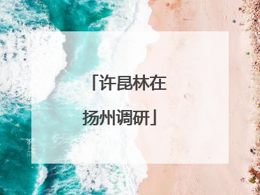 许昆林在扬州调研