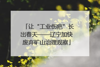 让“工业伤疤”长出春天——辽宁加快废弃矿山治理观察