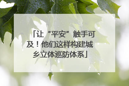让“平安”触手可及！他们这样构建城乡立体巡防体系