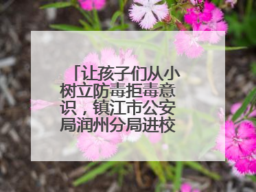 让孩子们从小树立防毒拒毒意识，镇江市公安局润州分局进校展开禁毒宣传
