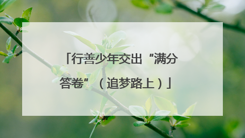 行善少年交出“满分答卷”（追梦路上）