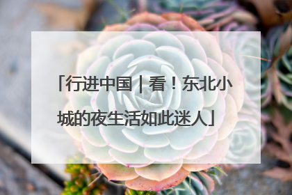 行进中国｜看！东北小城的夜生活如此迷人