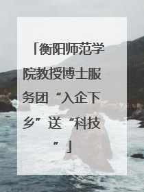 衡阳师范学院教授博士服务团“入企下乡”送“科技”