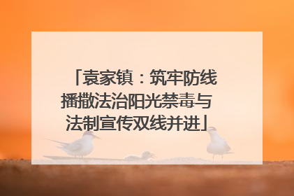 袁家镇：筑牢防线播撒法治阳光禁毒与法制宣传双线并进