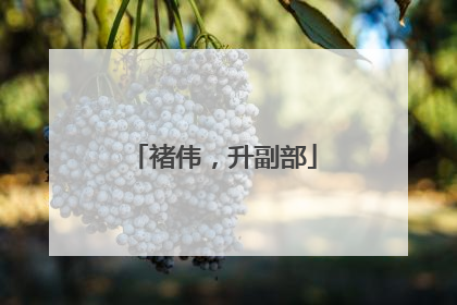 褚伟，升副部