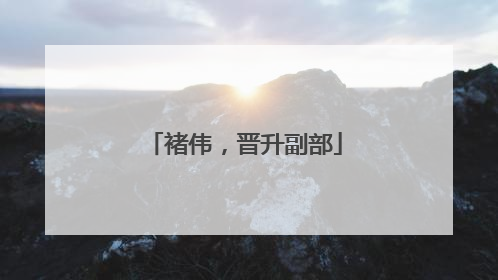 褚伟，晋升副部