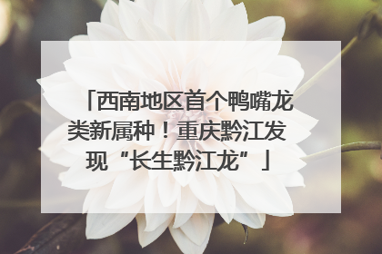 西南地区首个鸭嘴龙类新属种！重庆黔江发现“长生黔江龙”