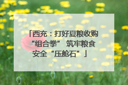 西充：打好夏粮收购“组合拳” 筑牢粮食安全“压舱石”