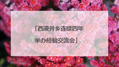 西凌井乡连续四年举办经验交流会