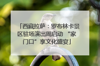 西藏拉萨：罗布林卡景区驻场演出周启动 “家门口”享文化盛宴