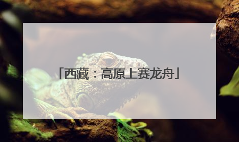西藏：高原上赛龙舟