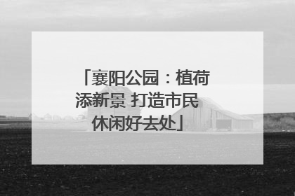 襄阳公园：植荷添新景 打造市民休闲好去处