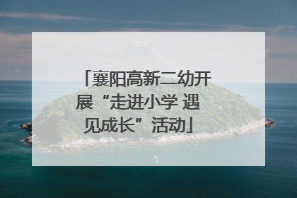 襄阳高新二幼开展“走进小学 遇见成长”活动