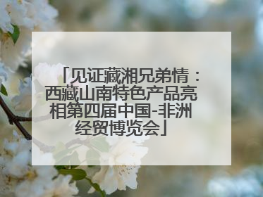 见证藏湘兄弟情：西藏山南特色产品亮相第四届中国-非洲经贸博览会