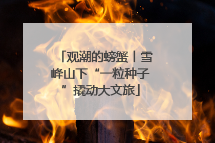 观潮的螃蟹丨雪峰山下“一粒种子”撬动大文旅