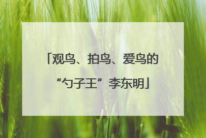 观鸟、拍鸟、爱鸟的“勺子王”李东明