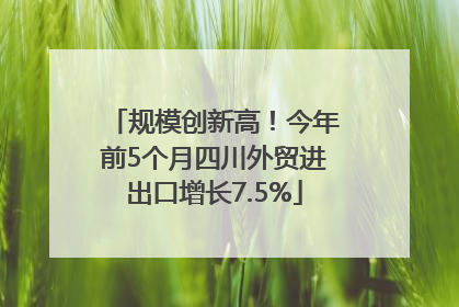 规模创新高！今年前5个月四川外贸进出口增长7.5%