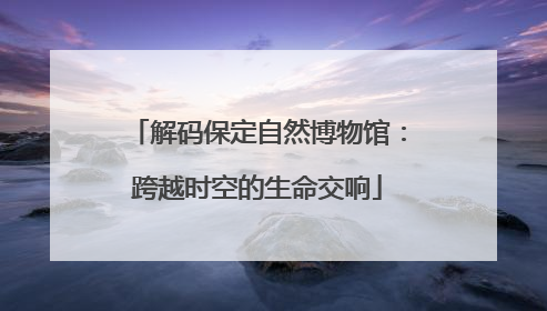 解码保定自然博物馆：跨越时空的生命交响