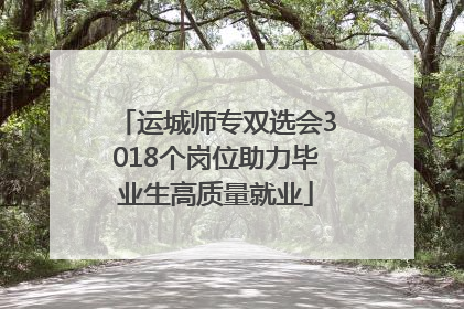 运城师专双选会3018个岗位助力毕业生高质量就业