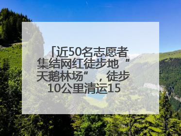 近50名志愿者集结网红徒步地“天鹅林场”，徒步10公里清运150余斤山野垃圾