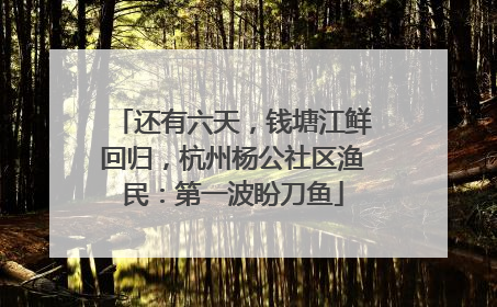还有六天，钱塘江鲜回归，杭州杨公社区渔民：第一波盼刀鱼