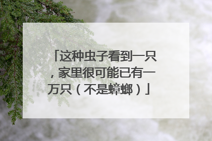 这种虫子看到一只，家里很可能已有一万只（不是蟑螂）