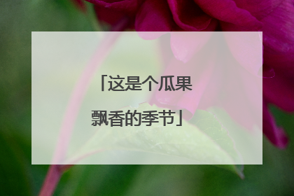 这是个瓜果飘香的季节