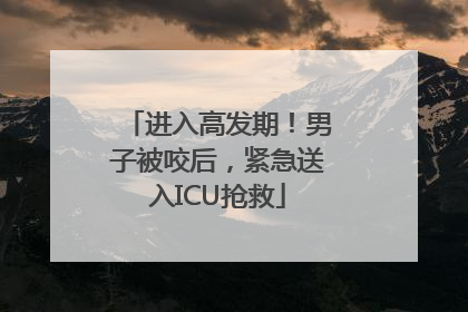 进入高发期！男子被咬后，紧急送入ICU抢救