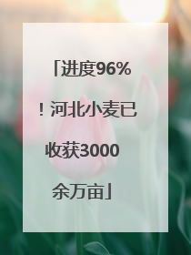 进度96%！河北小麦已收获3000余万亩