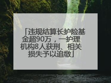 违规结算长护险基金超90万，一护理机构8人获刑、相关损失予以追缴