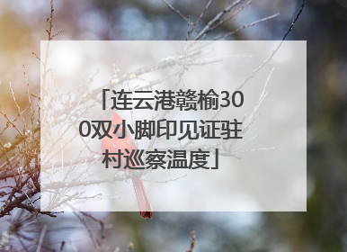 连云港赣榆300双小脚印见证驻村巡察温度